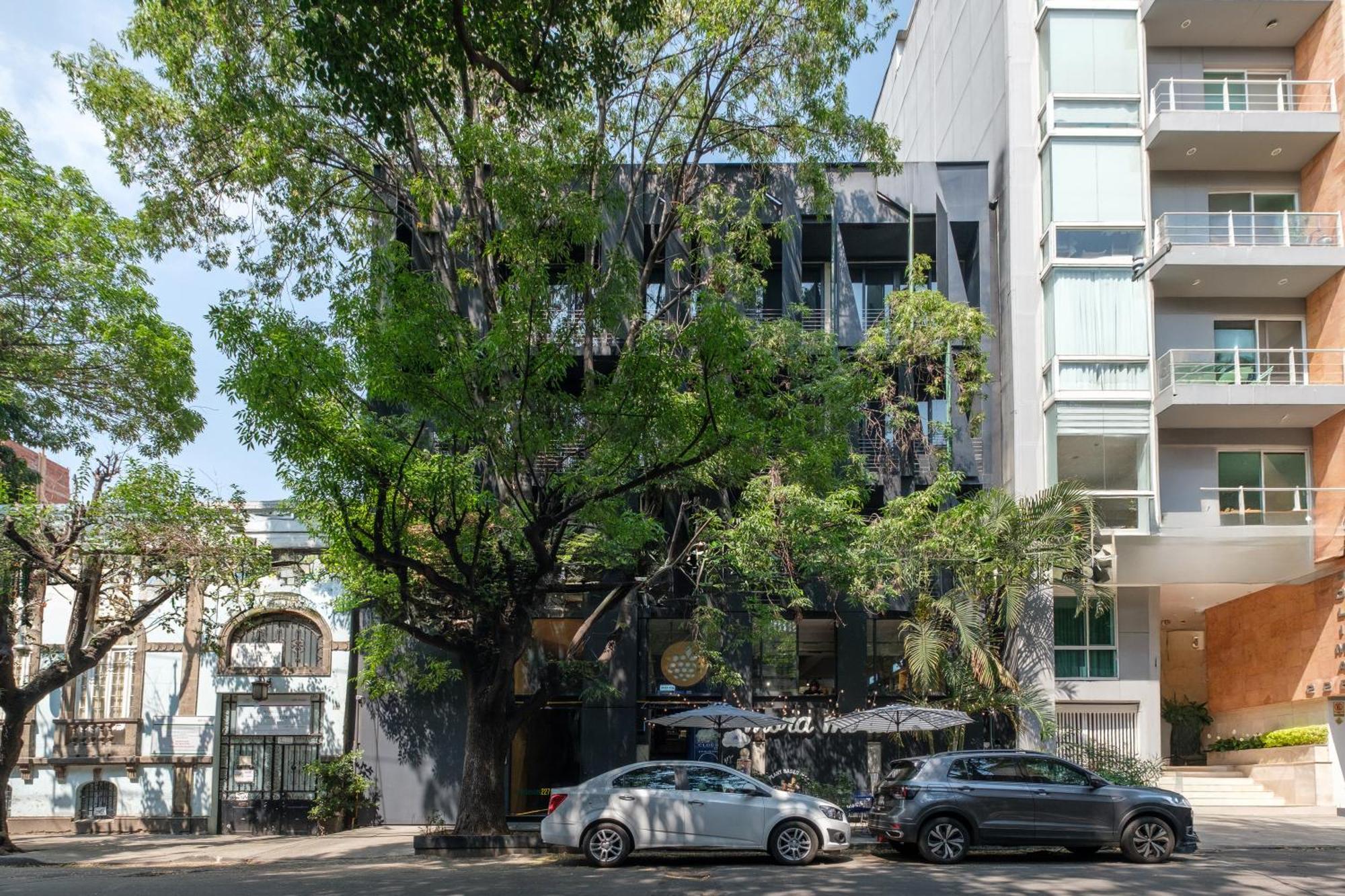 Boga Mexico City By Lumina Екстериор снимка